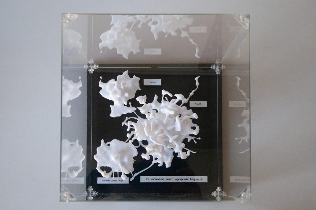 Ecoacoustic Sound Sculptures