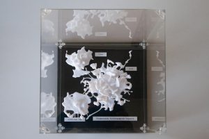 Ecoacoustic Sound Sculptures